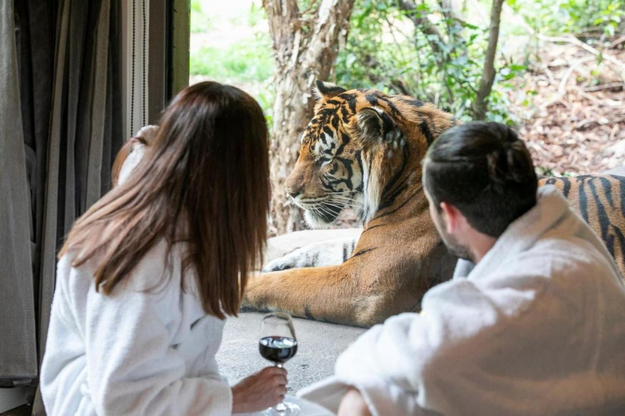 Big Cat Bungalows At The Haven - Lion 2 Canastota Extérieur photo